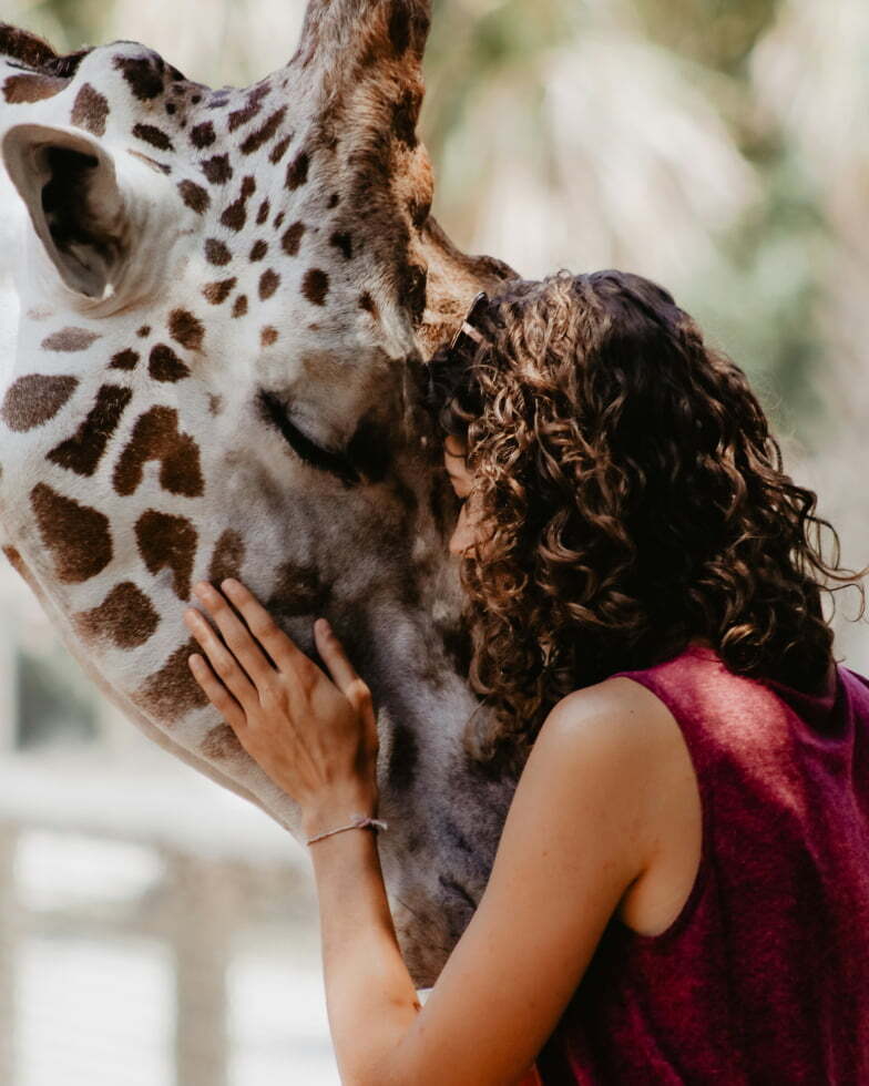 Woman hugging a giraffe at a busy zoo