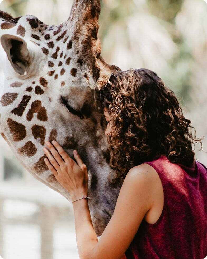 Visitor interacting with a giraffe at a zoo, highlighting member and donor experiences