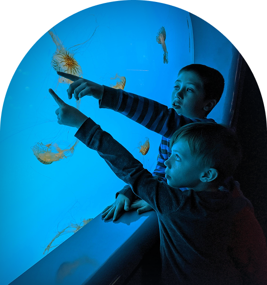 Visitors at an aquarium using Ticketure Ticketing software