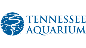 Tennessee Aquarium