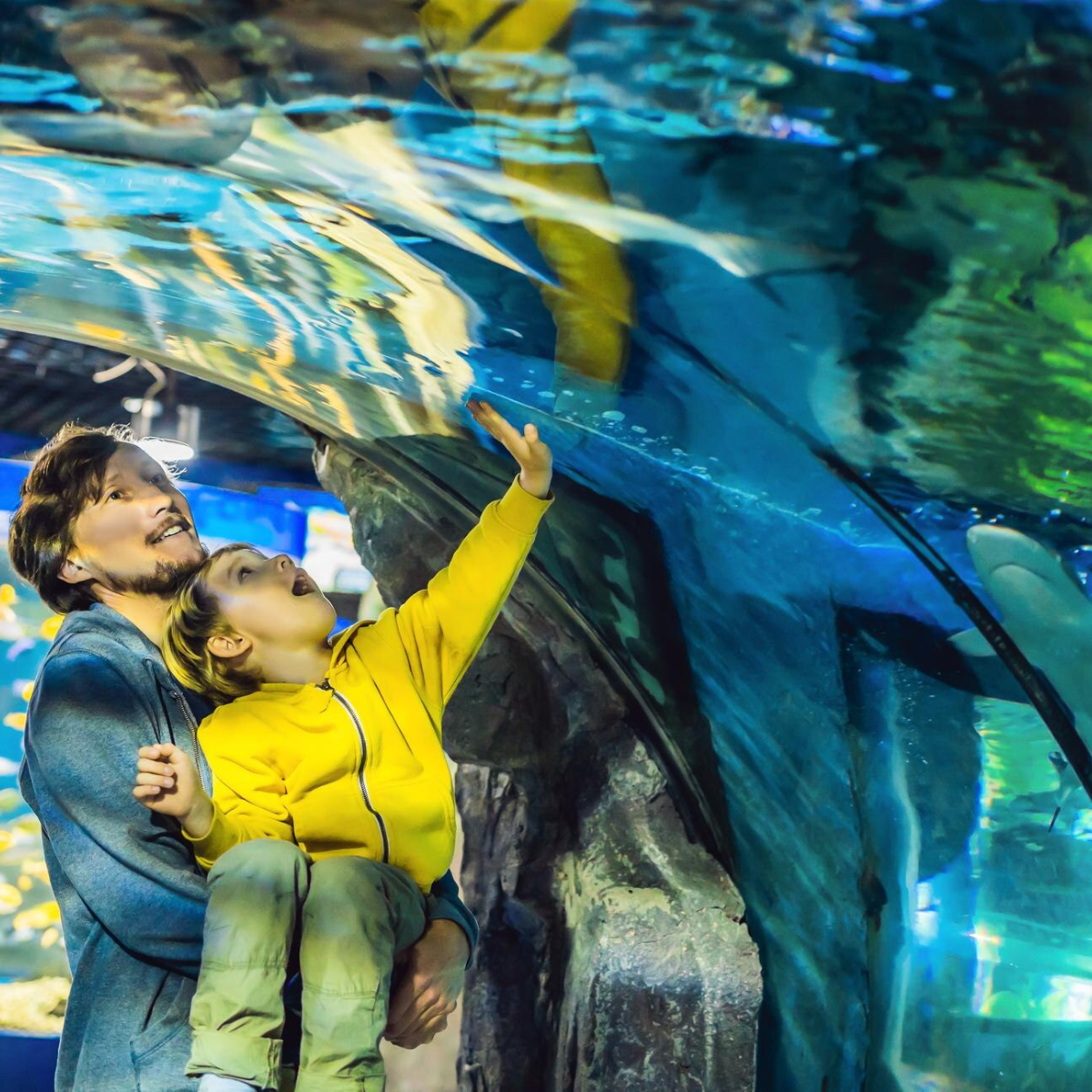 Father and son enjoy a day out in an aquarium tunnel