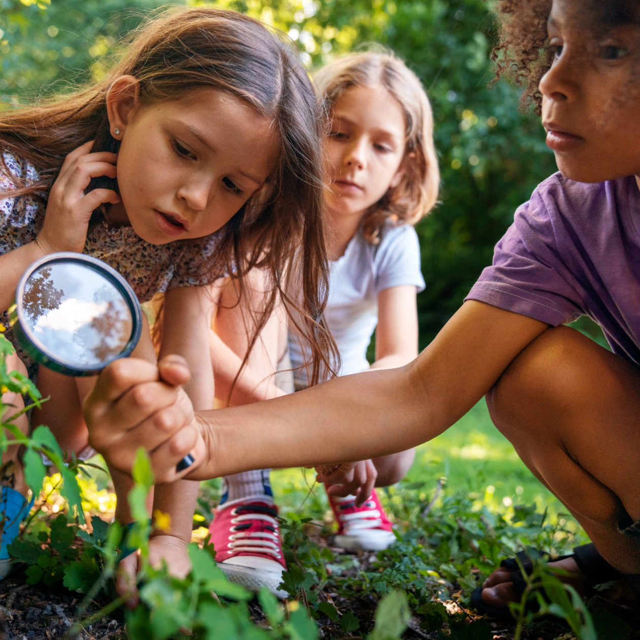 explorer kids in a botanical gardens