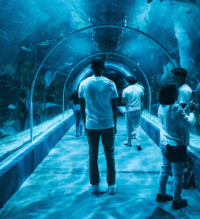 Visitors in a tunnel at an aquarium