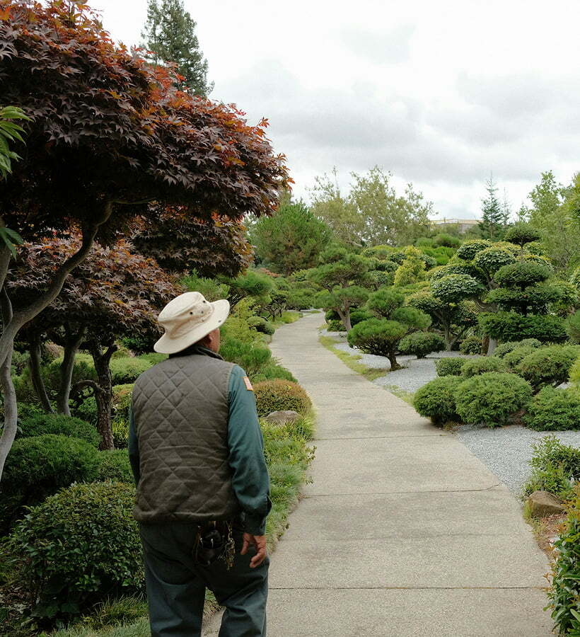 Man exploring a Botanical Site