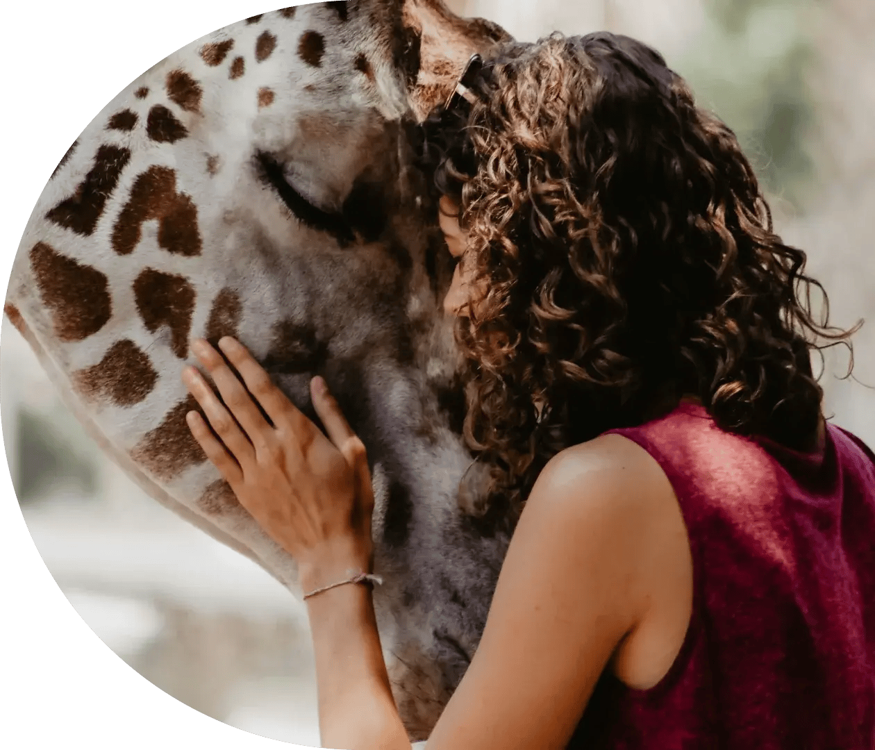 Woman hugging a giraffe in a zoo