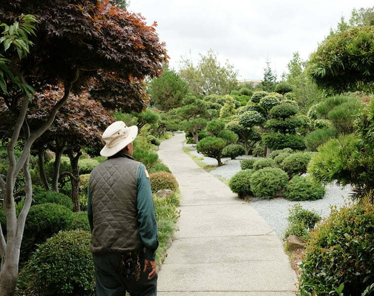Man enjoys a walk at a botanical garden site